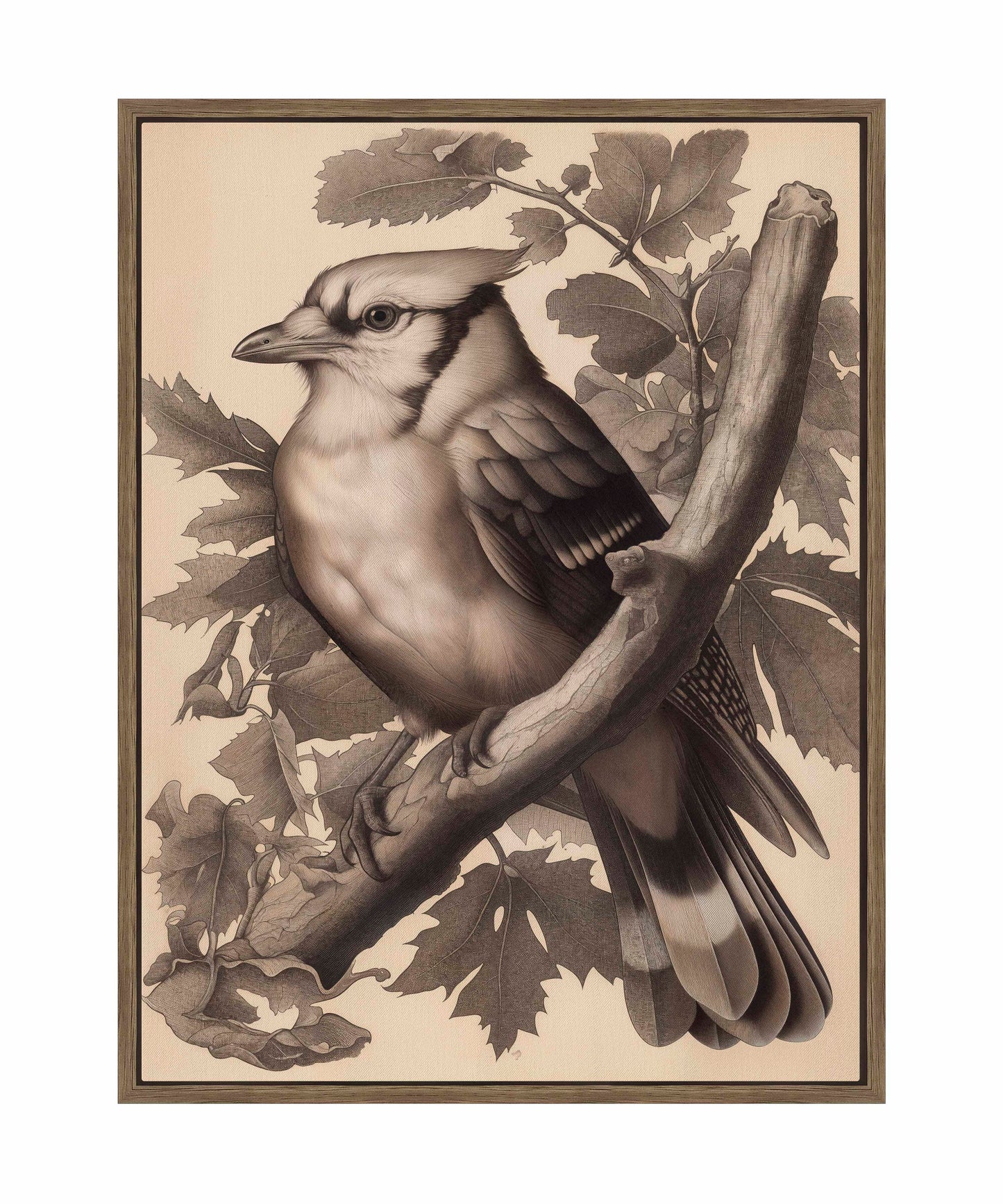 Timeless Grace - Blue Jay in Oak Canopy - Gallery Wrapped Canvas