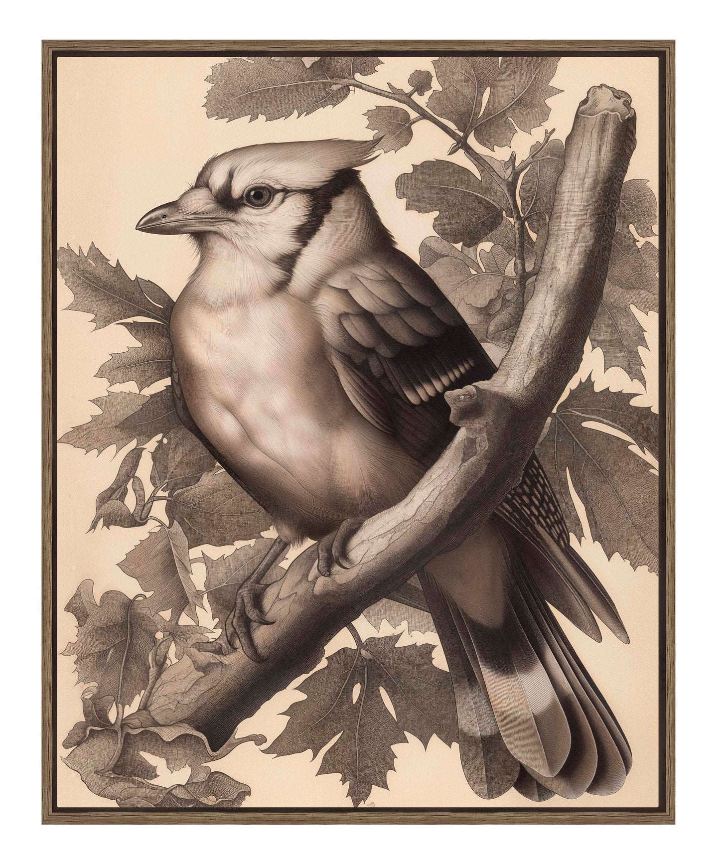 Timeless Grace - Blue Jay in Oak Canopy - Gallery Wrapped Canvas