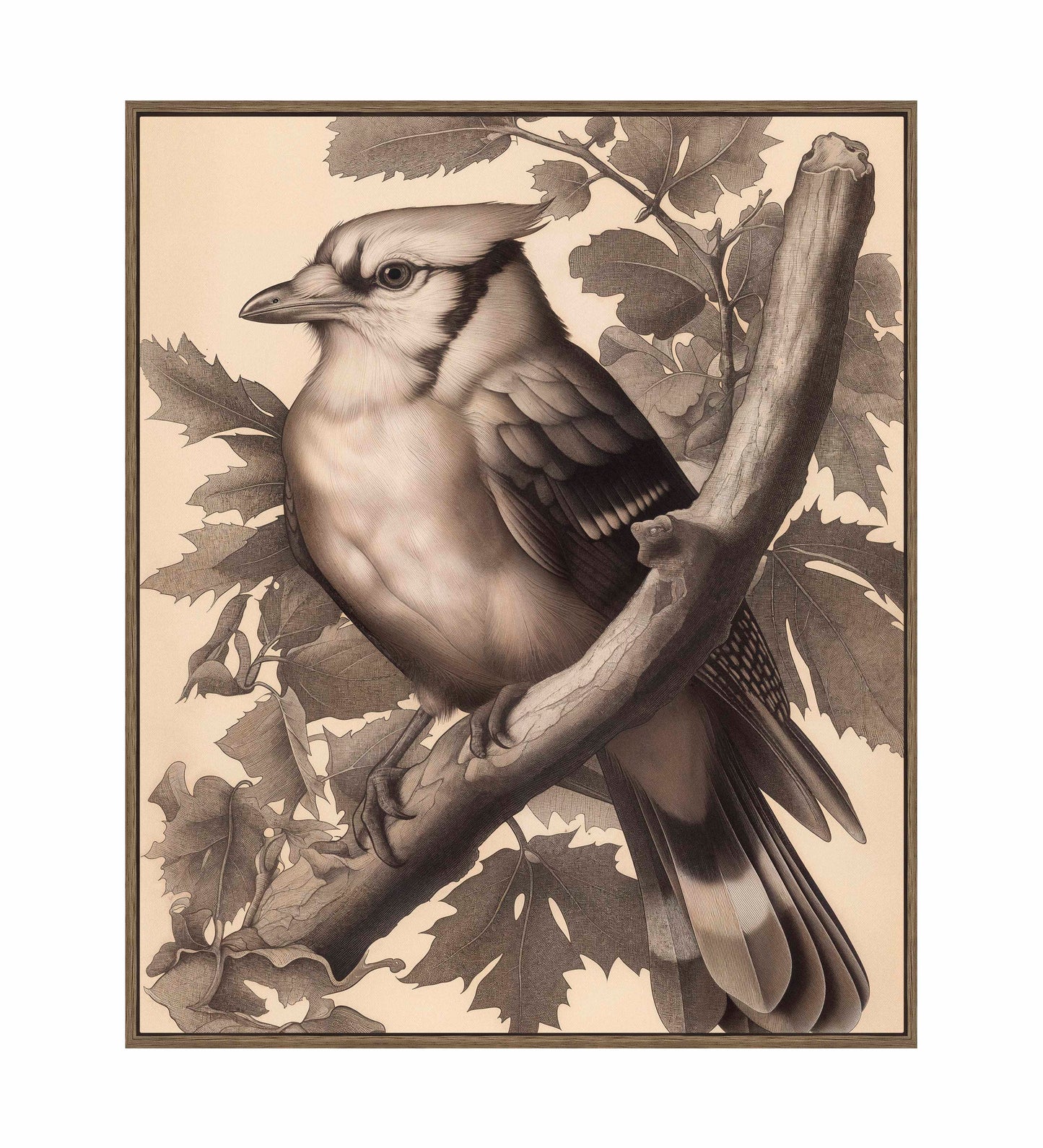 Timeless Grace - Blue Jay in Oak Canopy - Gallery Wrapped Canvas
