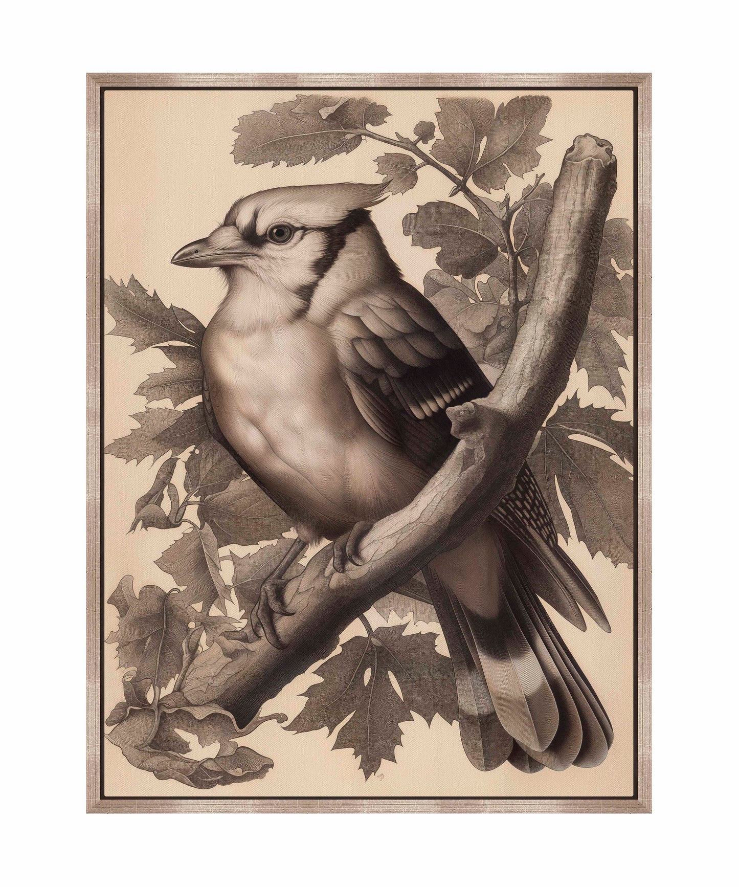Timeless Grace - Blue Jay in Oak Canopy - Gallery Wrapped Canvas