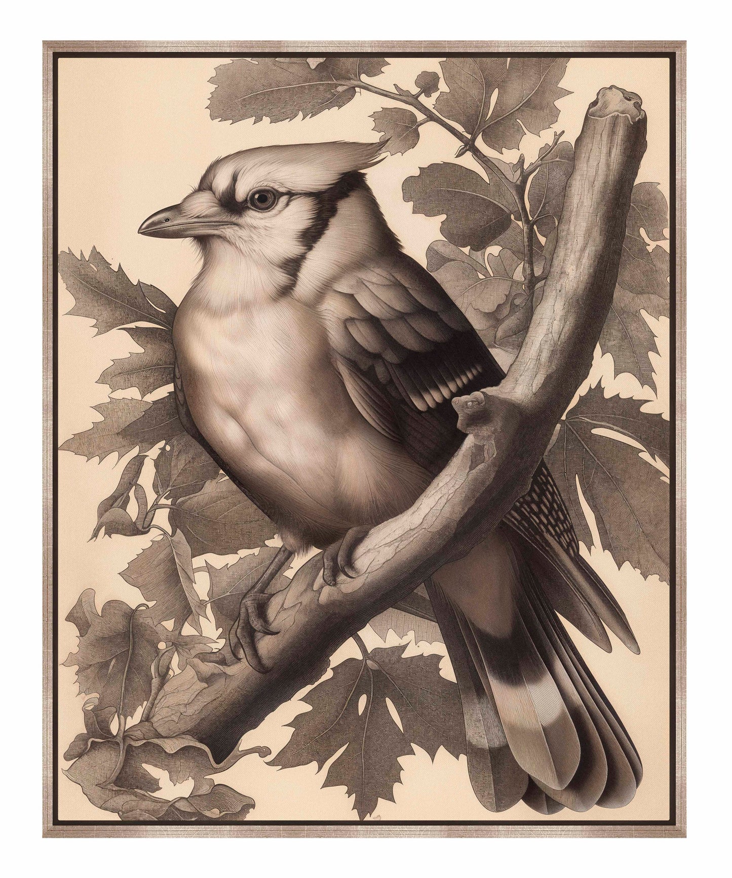 Timeless Grace - Blue Jay in Oak Canopy - Gallery Wrapped Canvas