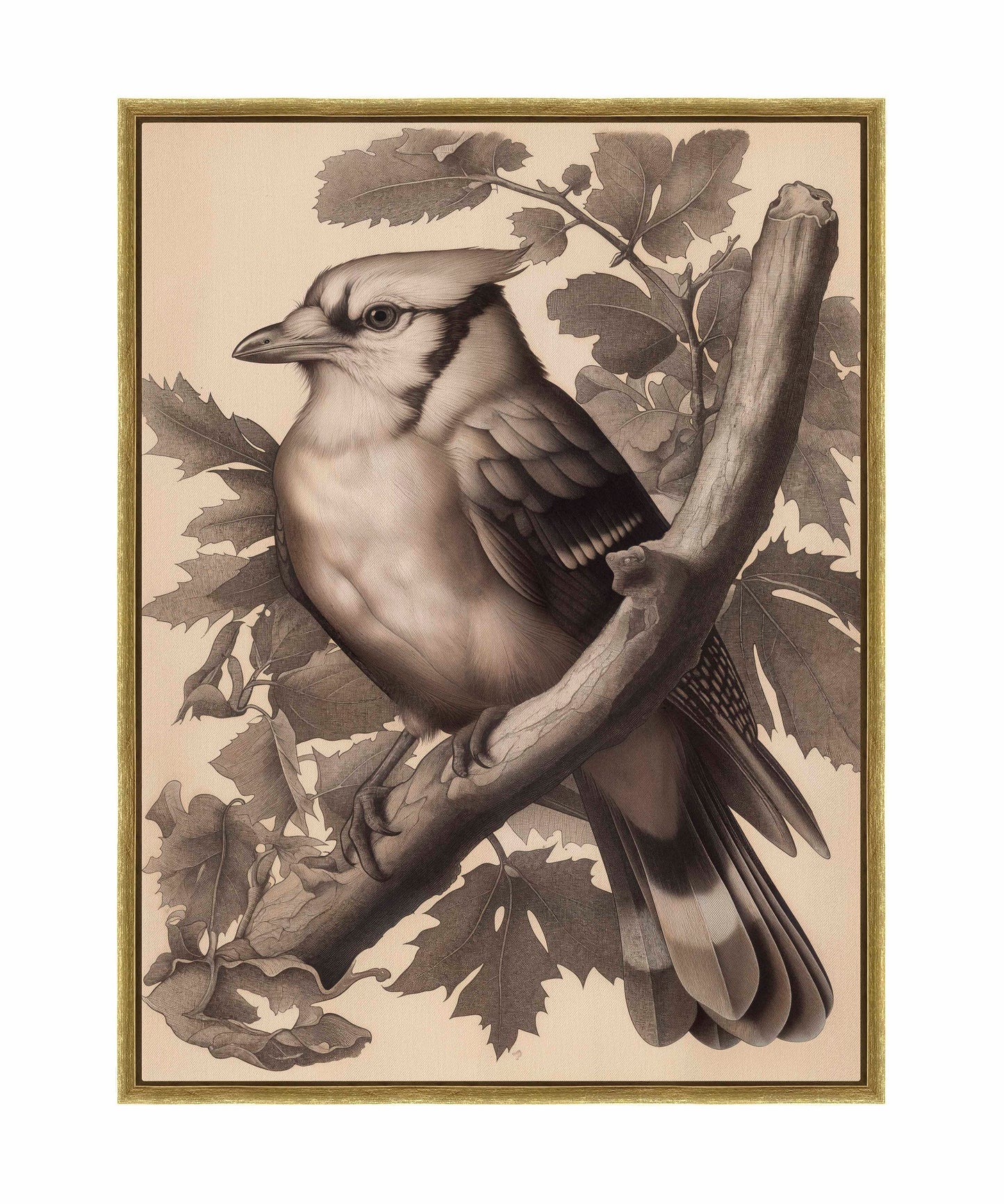 Timeless Grace - Blue Jay in Oak Canopy - Gallery Wrapped Canvas