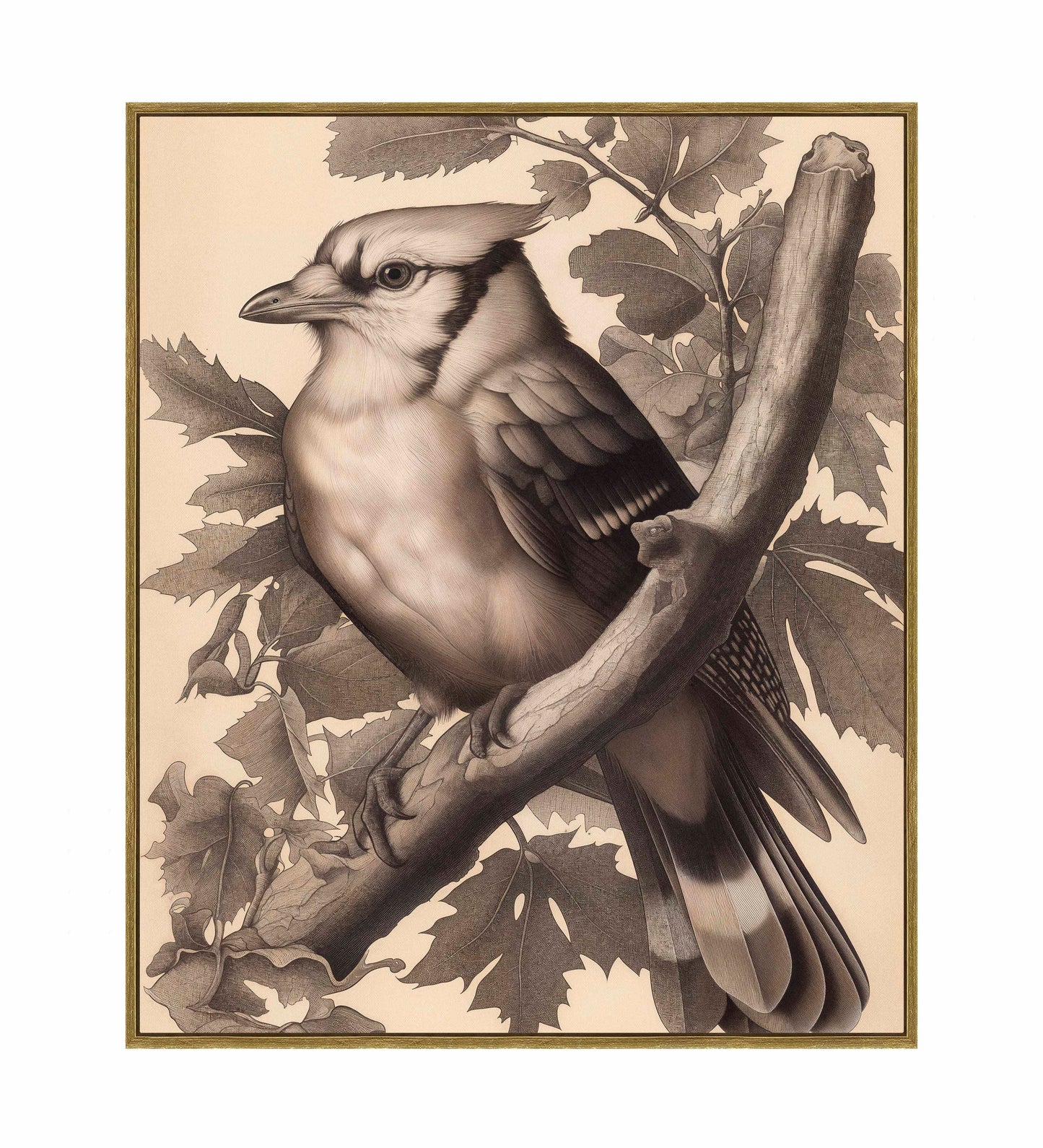 Timeless Grace - Blue Jay in Oak Canopy - Gallery Wrapped Canvas