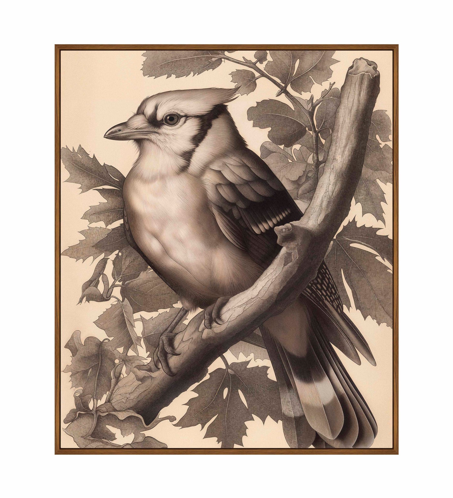 Timeless Grace - Blue Jay in Oak Canopy - Gallery Wrapped Canvas