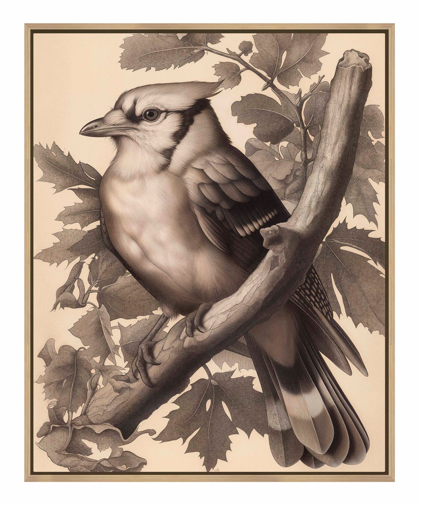 Timeless Grace - Blue Jay in Oak Canopy - Gallery Wrapped Canvas
