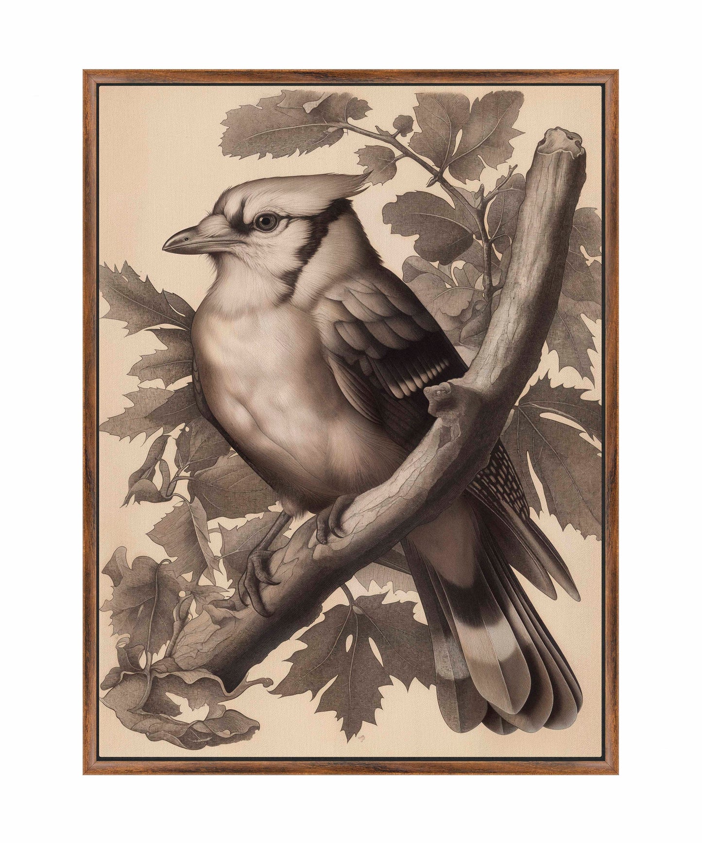 Timeless Grace - Blue Jay in Oak Canopy - Gallery Wrapped Canvas
