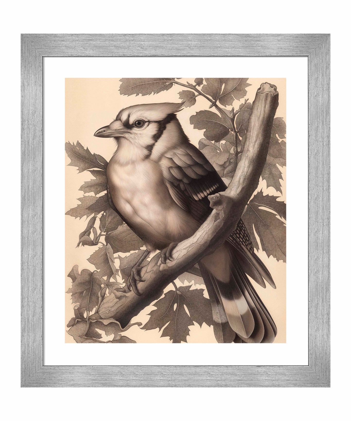 Timeless Grace - Blue Jay in Oak Canopy - Art Prints