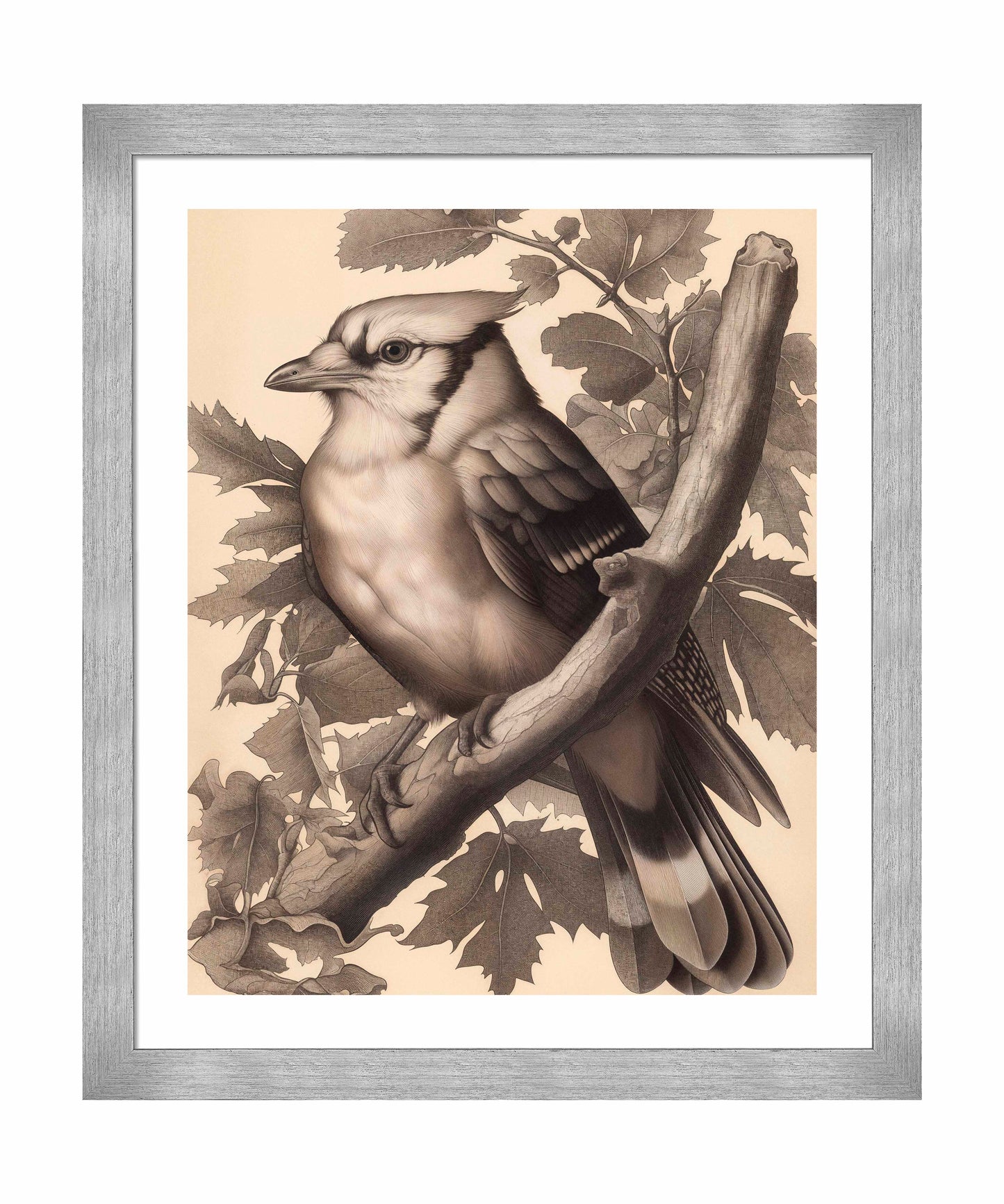 Timeless Grace - Blue Jay in Oak Canopy - Art Prints