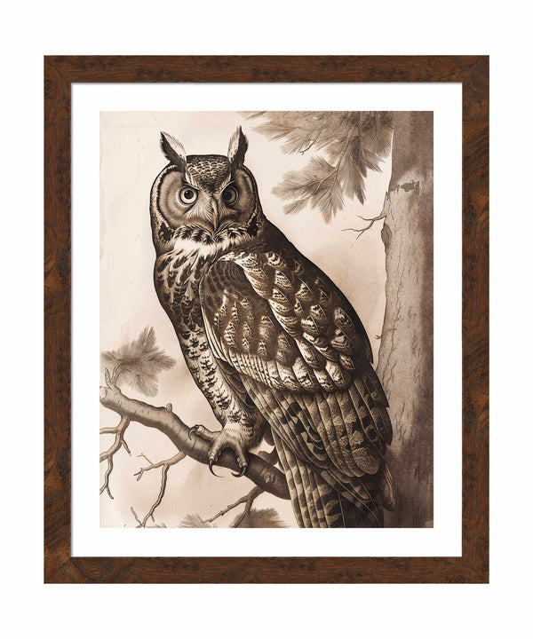 Silent Guardian - Great Horned Owl - Art Prints
