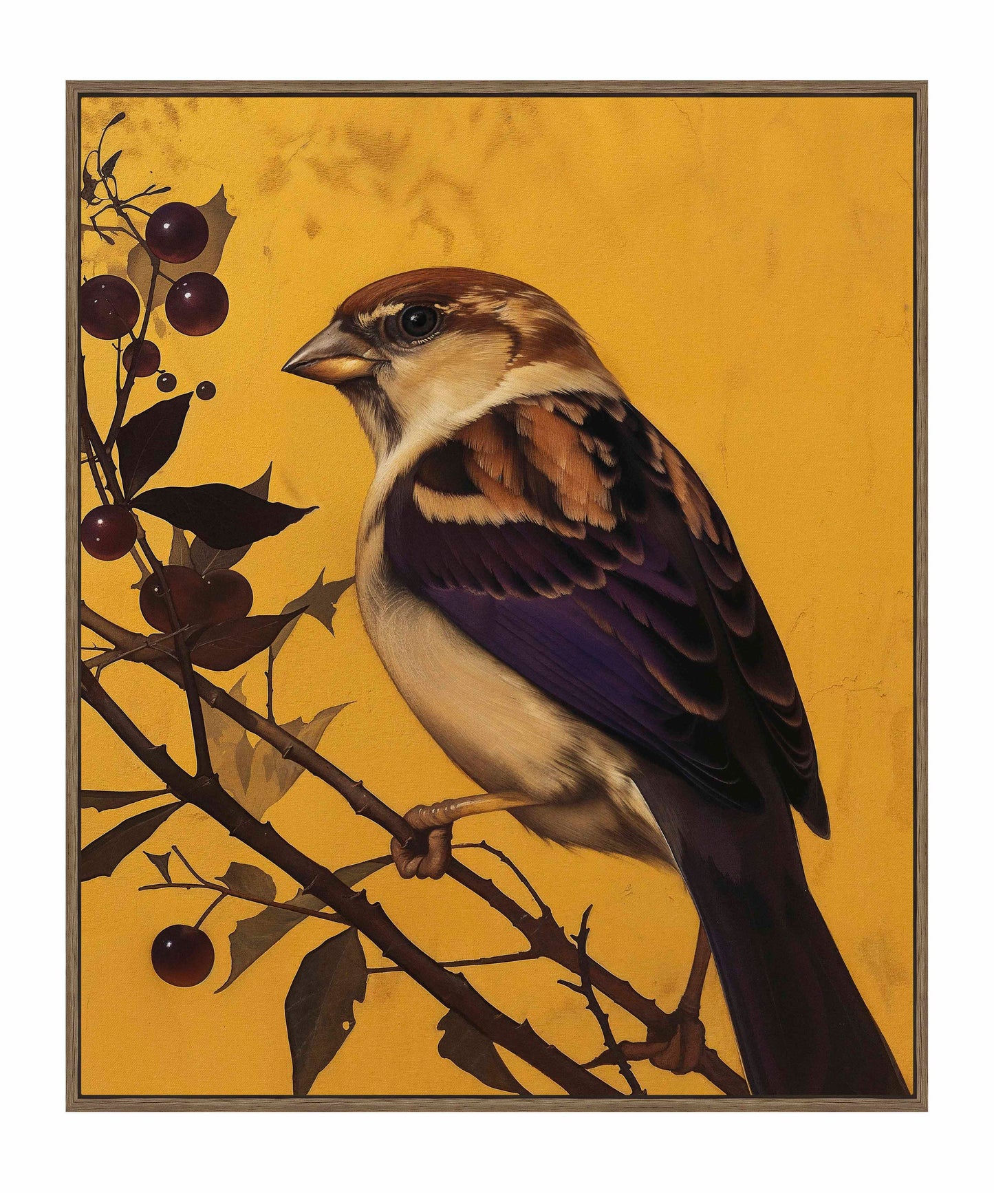 Golden Perch - Sparrow Among Dark Berries - Gallery Wrapped Canvas