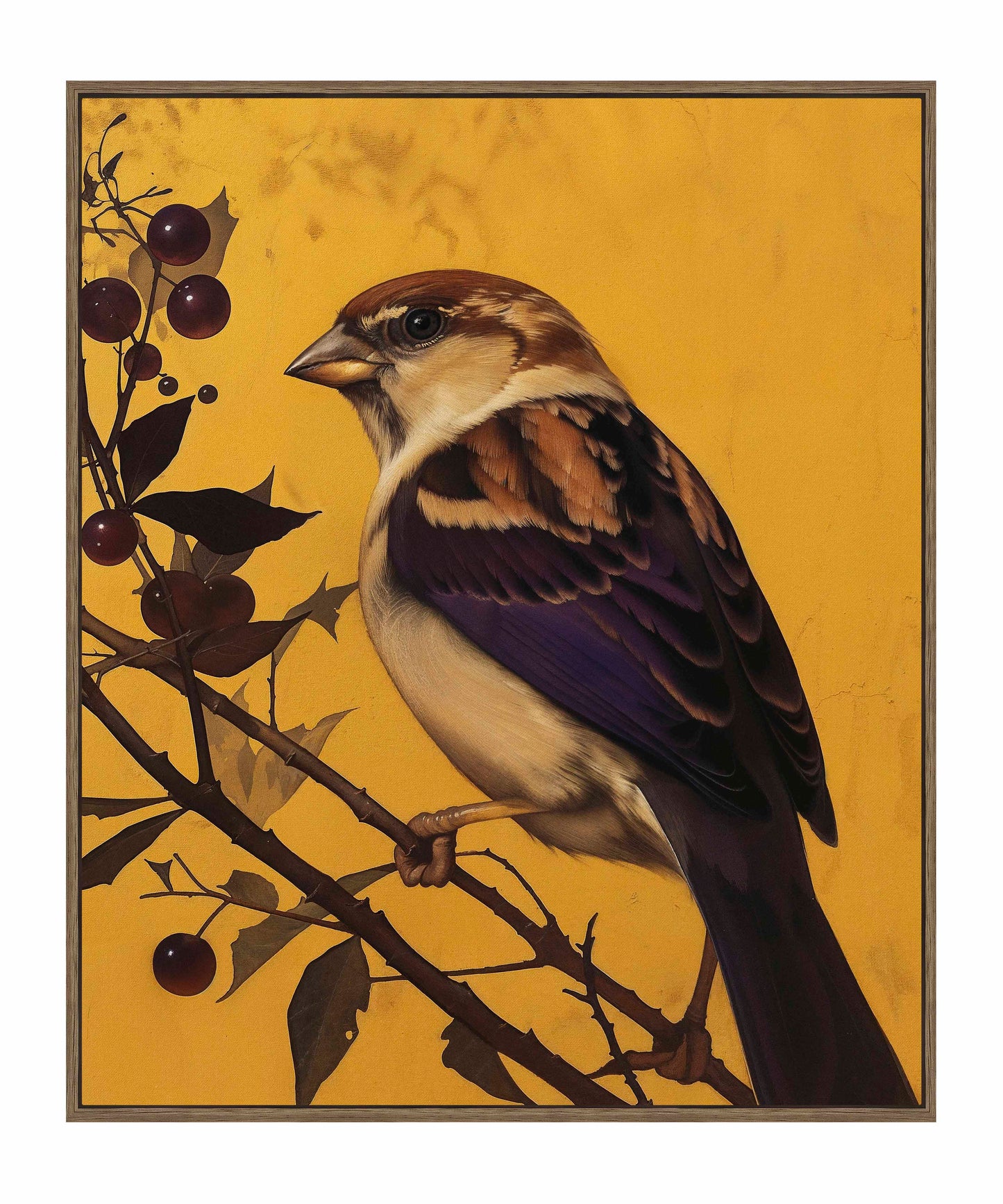 Golden Perch - Sparrow Among Dark Berries - Gallery Wrapped Canvas