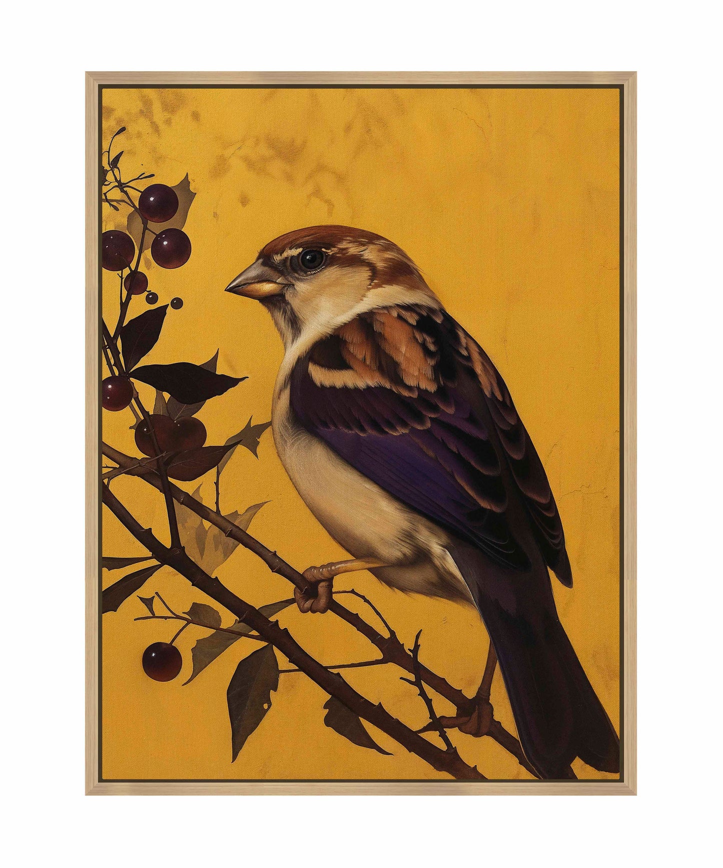 Golden Perch - Sparrow Among Dark Berries - Gallery Wrapped Canvas