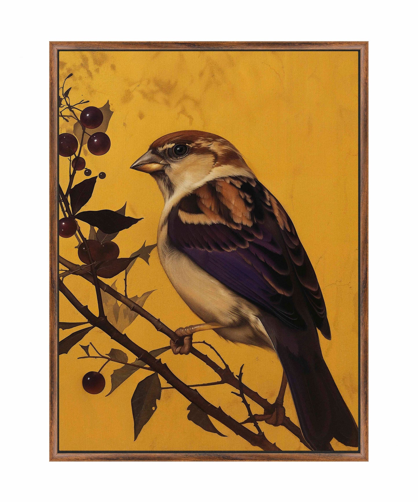 Golden Perch - Sparrow Among Dark Berries - Gallery Wrapped Canvas