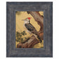 Echoes of the Forest - Woodpecker in Pine Haven - Limited Edition Canvas