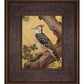 Echoes of the Forest - Woodpecker in Pine Haven - Limited Edition Canvas