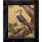 Echoes of the Forest - Woodpecker in Pine Haven - Limited Edition Canvas