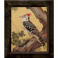 Echoes of the Forest - Woodpecker in Pine Haven - Limited Edition Canvas