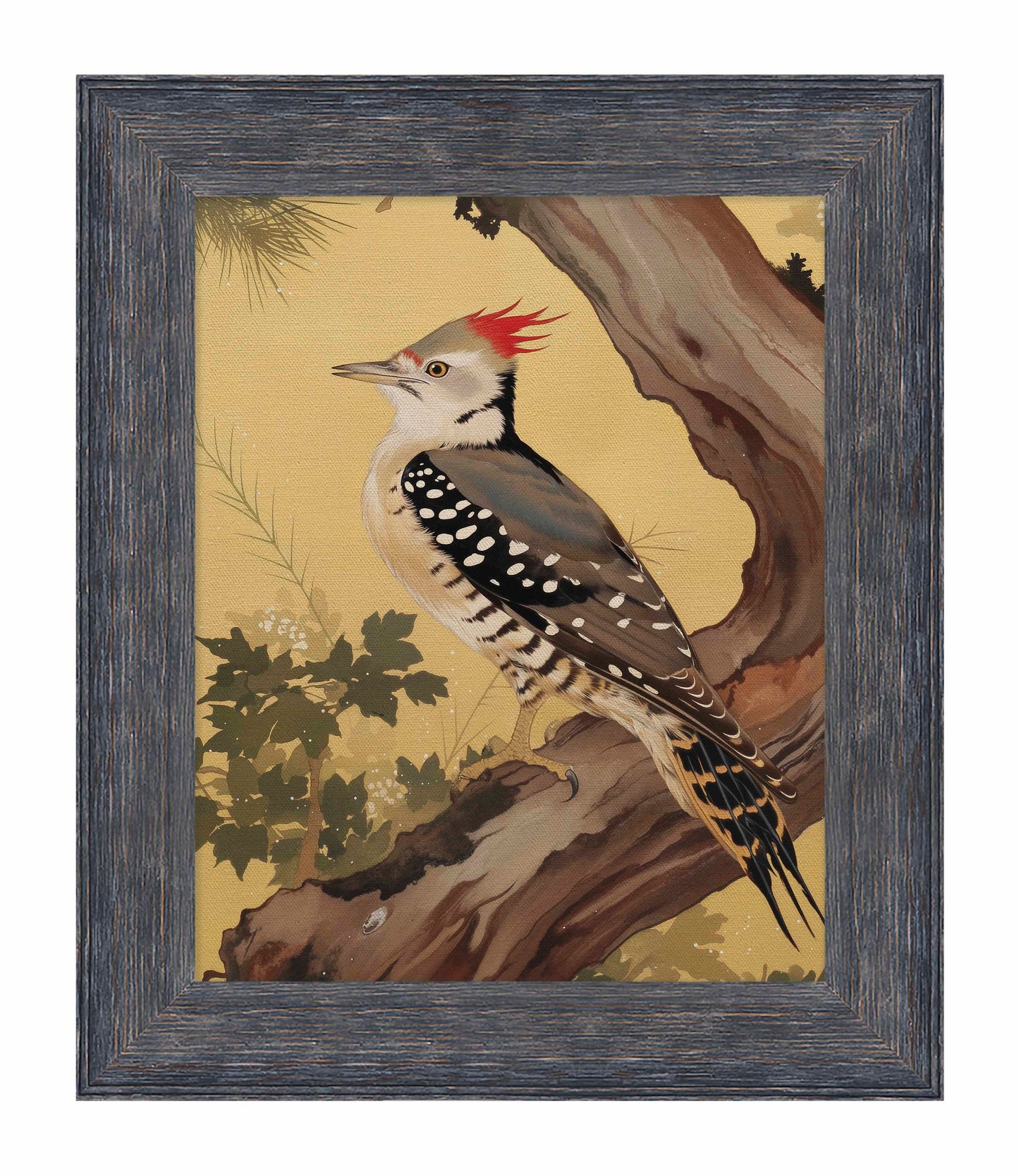 Echoes of the Forest - Woodpecker in Pine Haven - Limited Edition Canvas