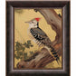 Echoes of the Forest - Woodpecker in Pine Haven - Limited Edition Canvas