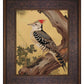 Echoes of the Forest - Woodpecker in Pine Haven - Limited Edition Canvas