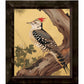 Echoes of the Forest - Woodpecker in Pine Haven - Limited Edition Canvas