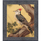 Echoes of the Forest - Woodpecker in Pine Haven - Limited Edition Canvas
