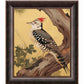 Echoes of the Forest - Woodpecker in Pine Haven - Limited Edition Canvas