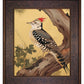 Echoes of the Forest - Woodpecker in Pine Haven - Limited Edition Canvas