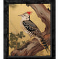 Echoes of the Forest - Woodpecker in Pine Haven - Limited Edition Canvas
