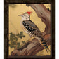 Echoes of the Forest - Woodpecker in Pine Haven - Limited Edition Canvas