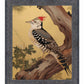 Echoes of the Forest - Woodpecker in Pine Haven - Limited Edition Canvas