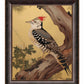 Echoes of the Forest - Woodpecker in Pine Haven - Limited Edition Canvas