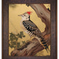 Echoes of the Forest - Woodpecker in Pine Haven - Limited Edition Canvas