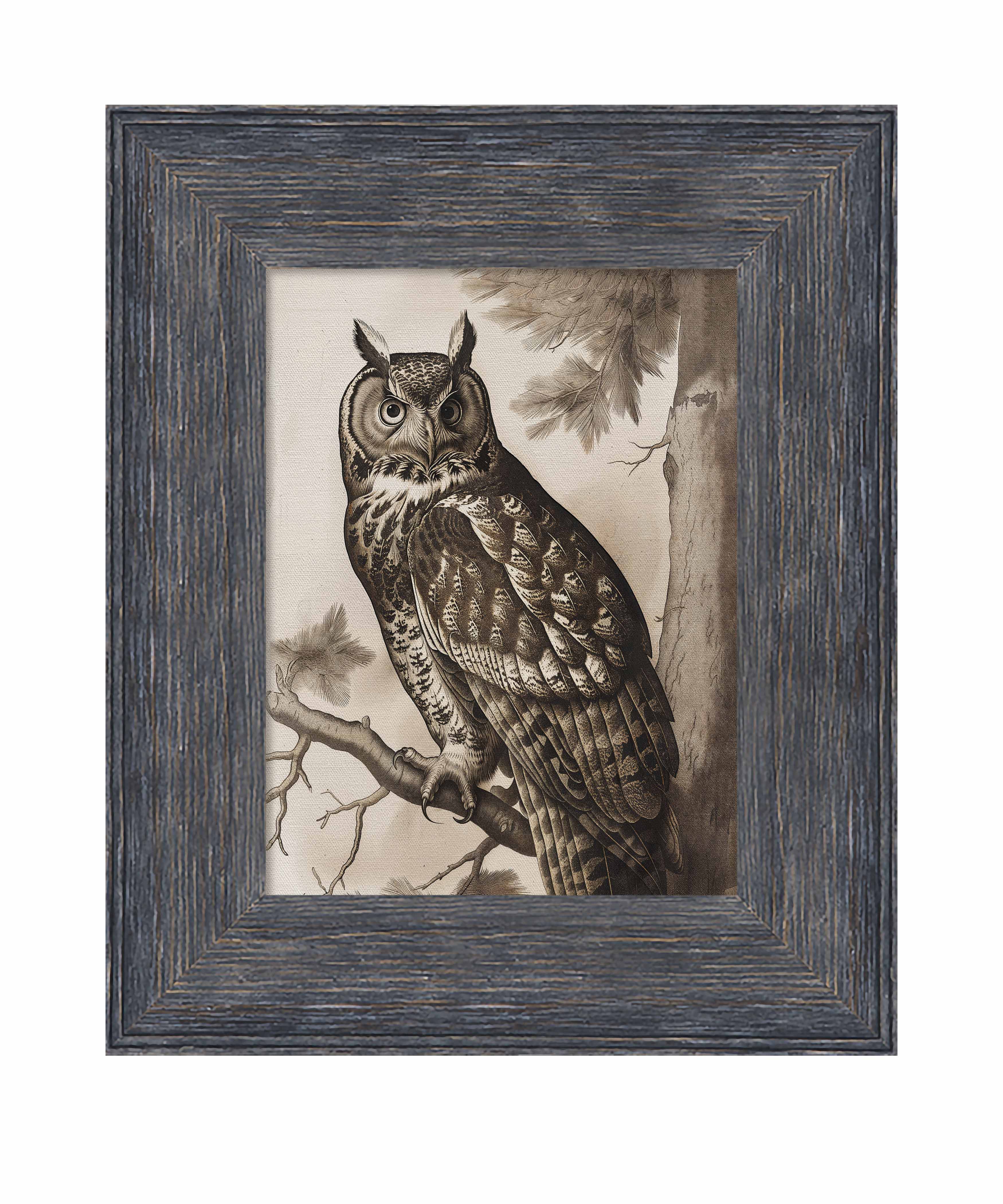Silent Guardian - Great Horned Owl - Limited Edition Canvas