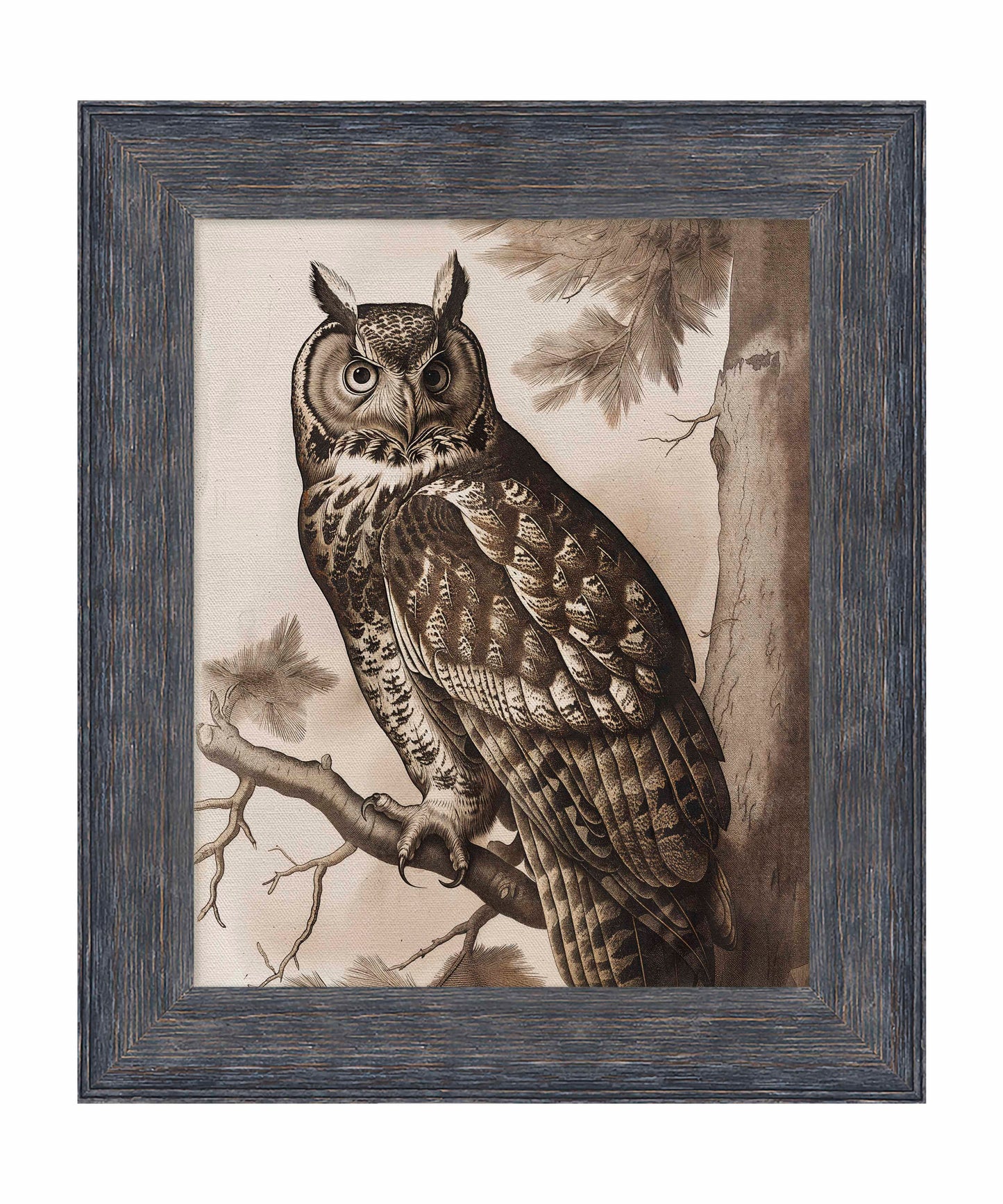 Silent Guardian - Great Horned Owl - Limited Edition Canvas
