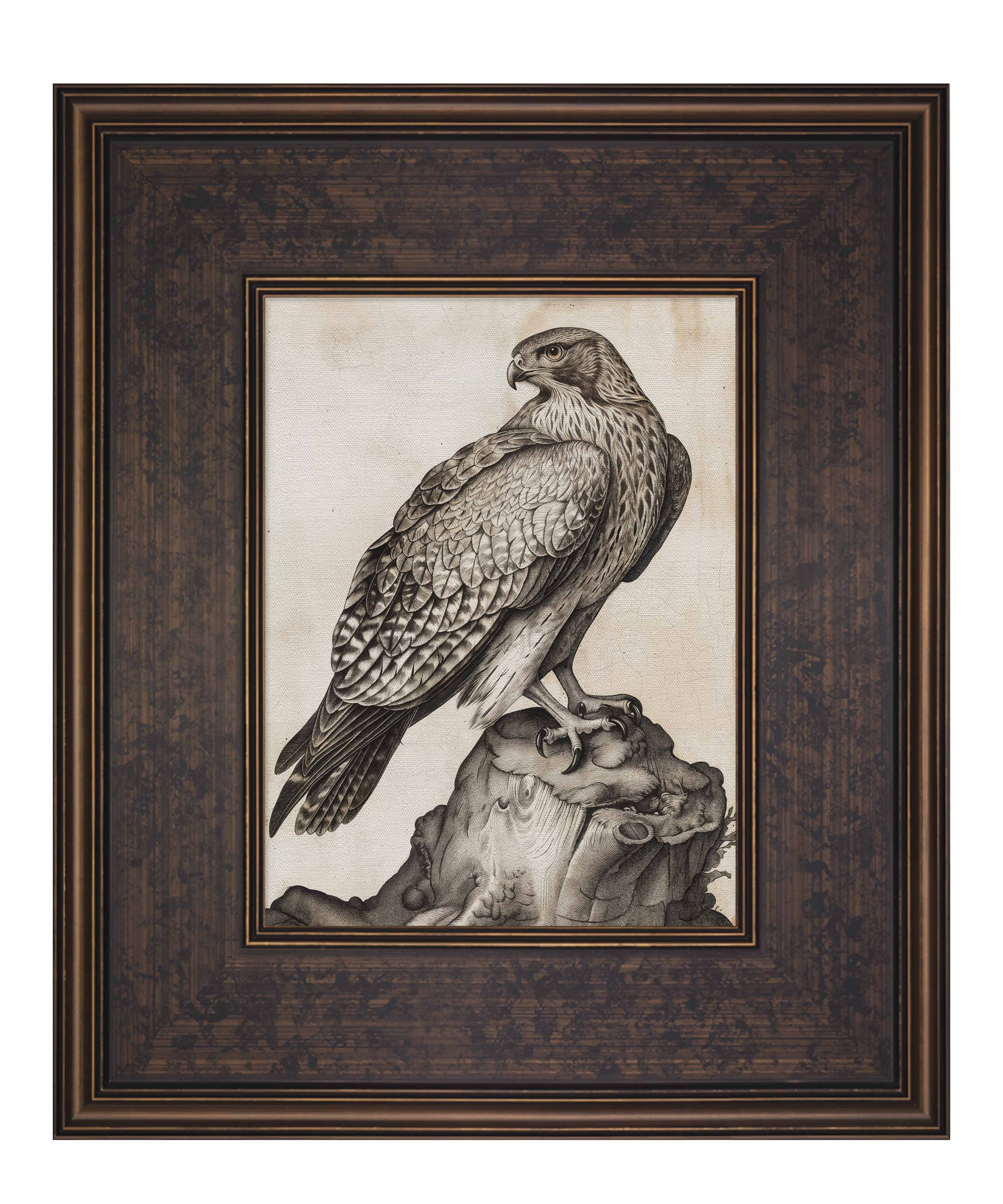 Majestic Sentinel - Hawk - Limited Edition Canvas Limited Edition