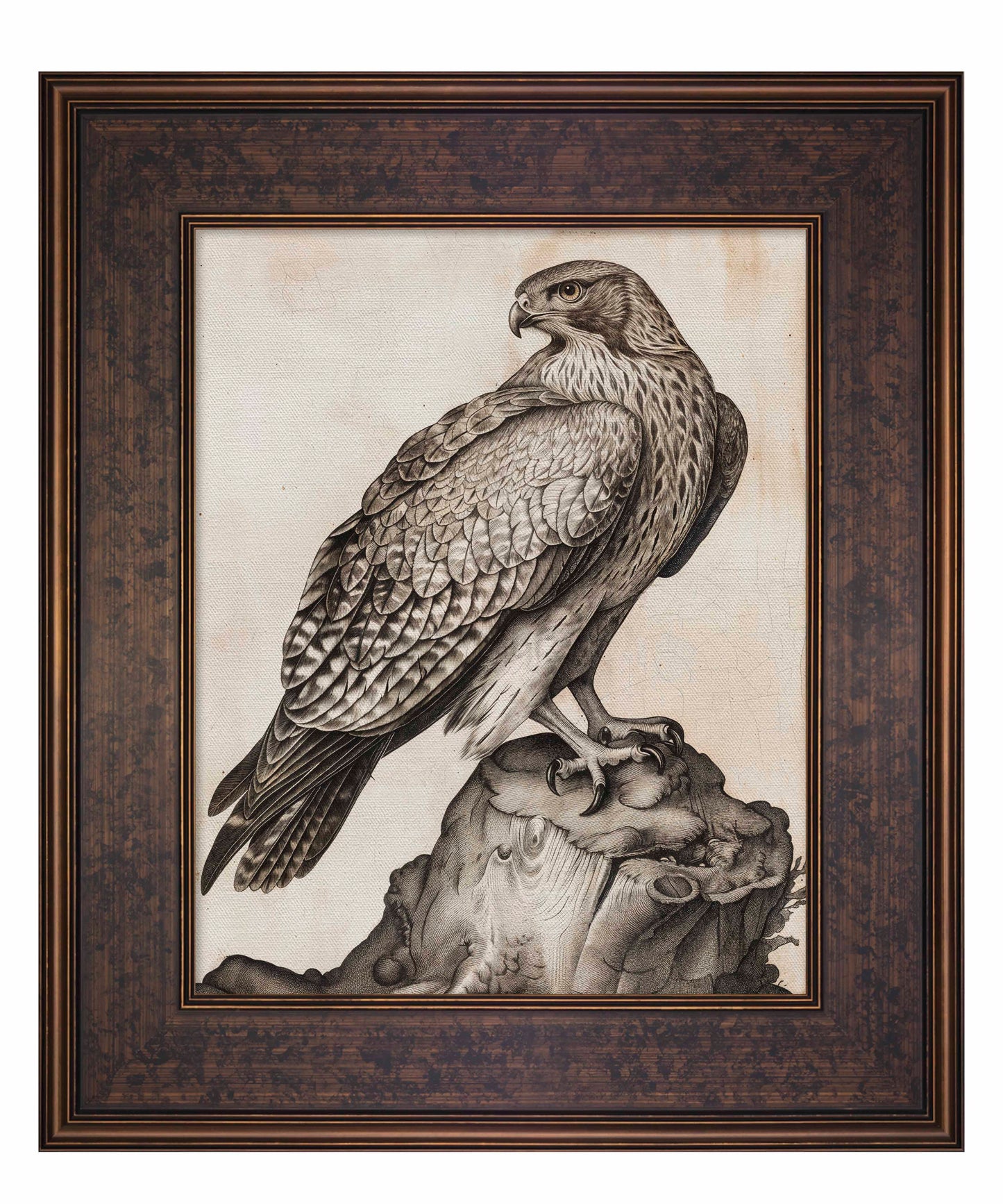 Majestic Sentinel - Hawk - Limited Edition Canvas
