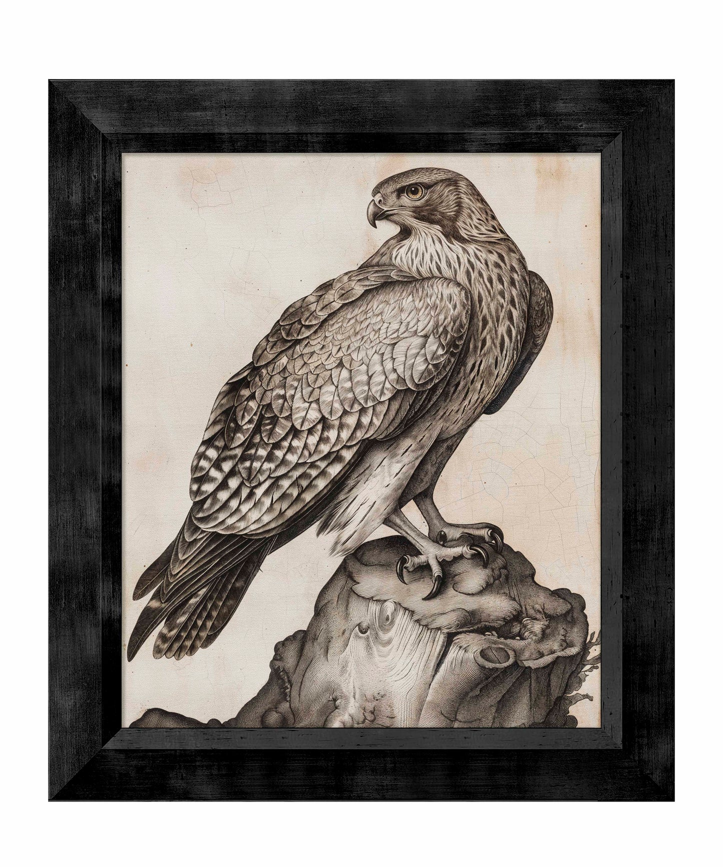 Majestic Sentinel - Hawk - Limited Edition Canvas
