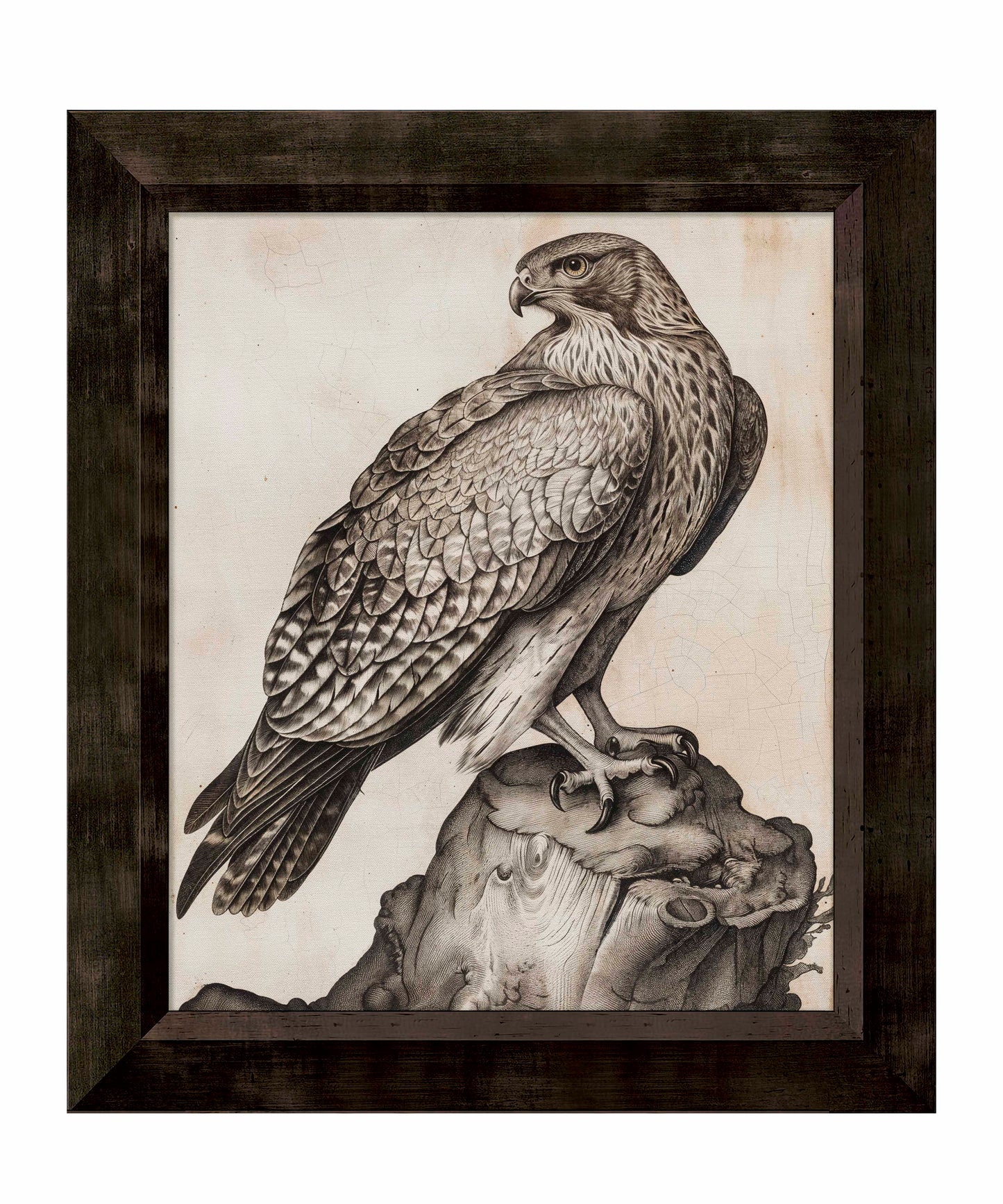 Majestic Sentinel - Hawk - Limited Edition Canvas