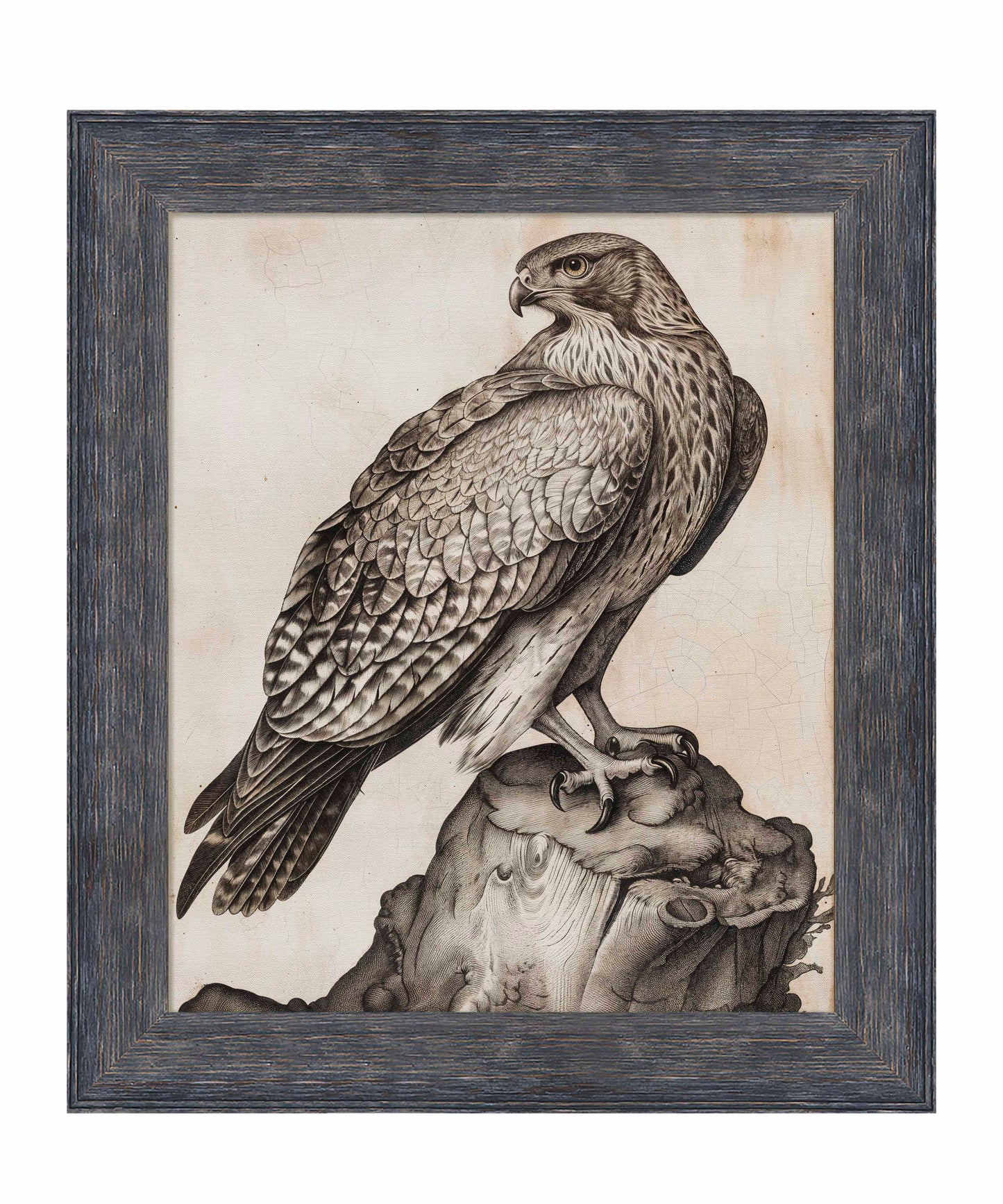 Majestic Sentinel - Hawk - Limited Edition Canvas