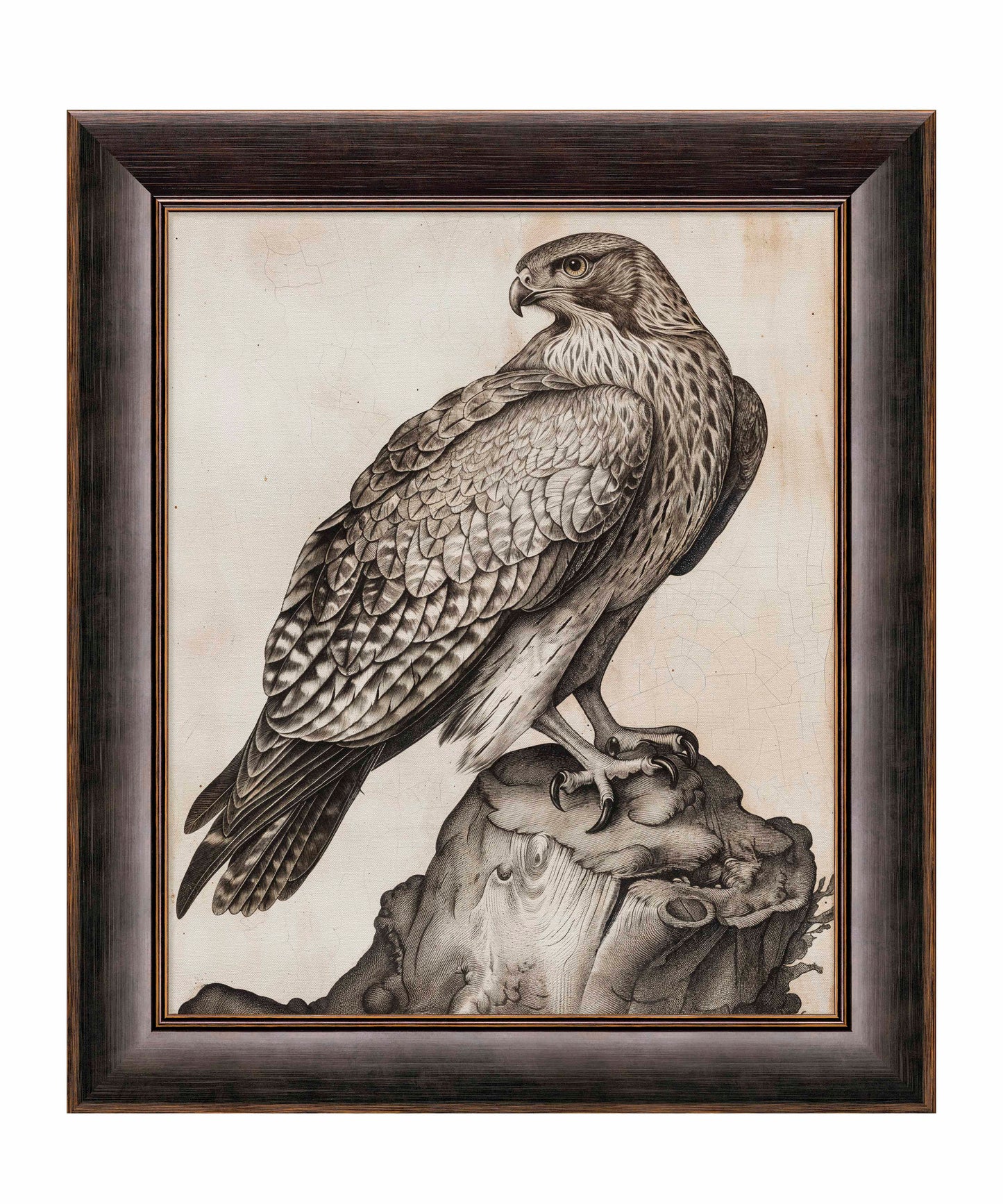 Majestic Sentinel - Hawk - Limited Edition Canvas