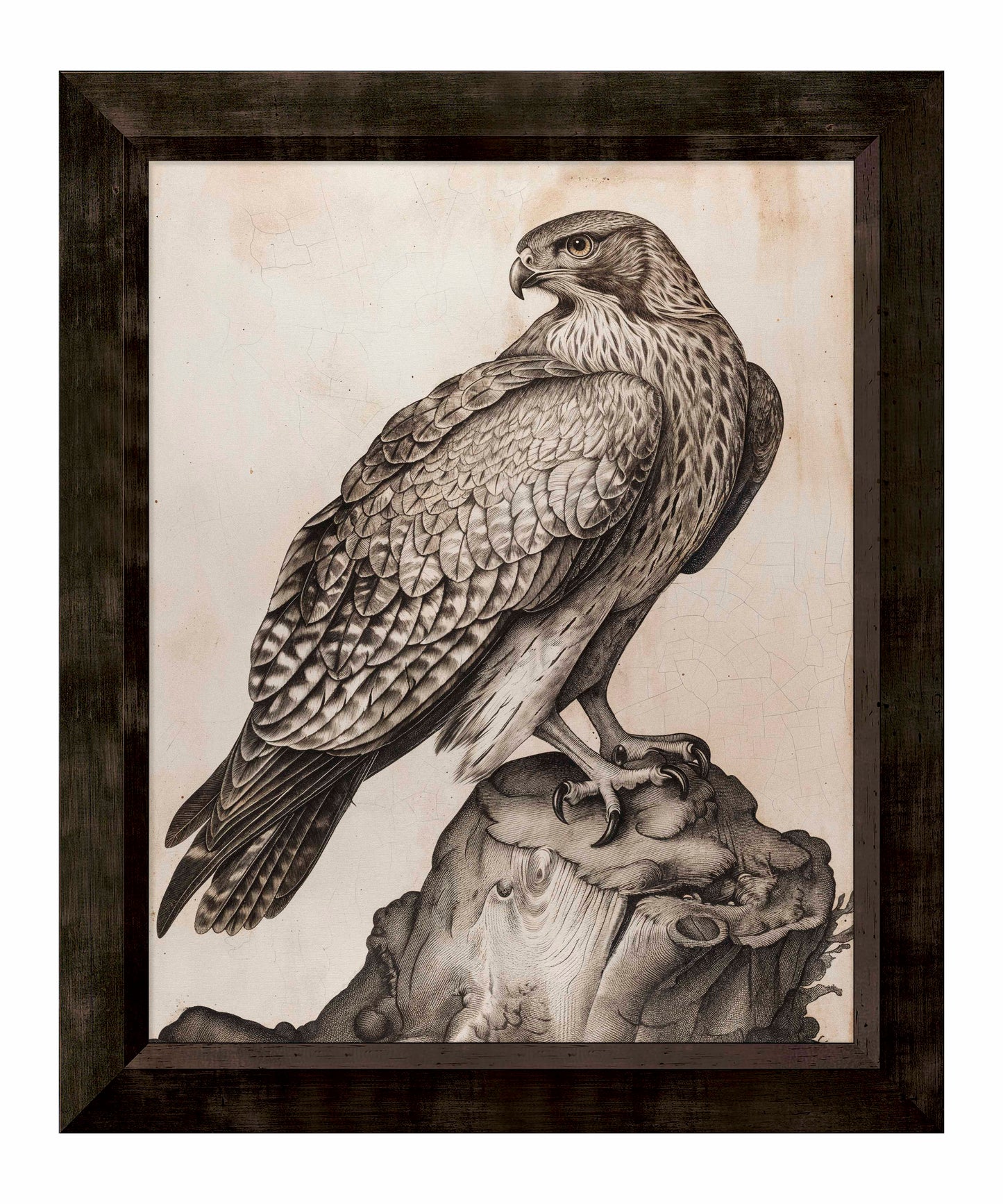 Majestic Sentinel - Hawk - Limited Edition Canvas