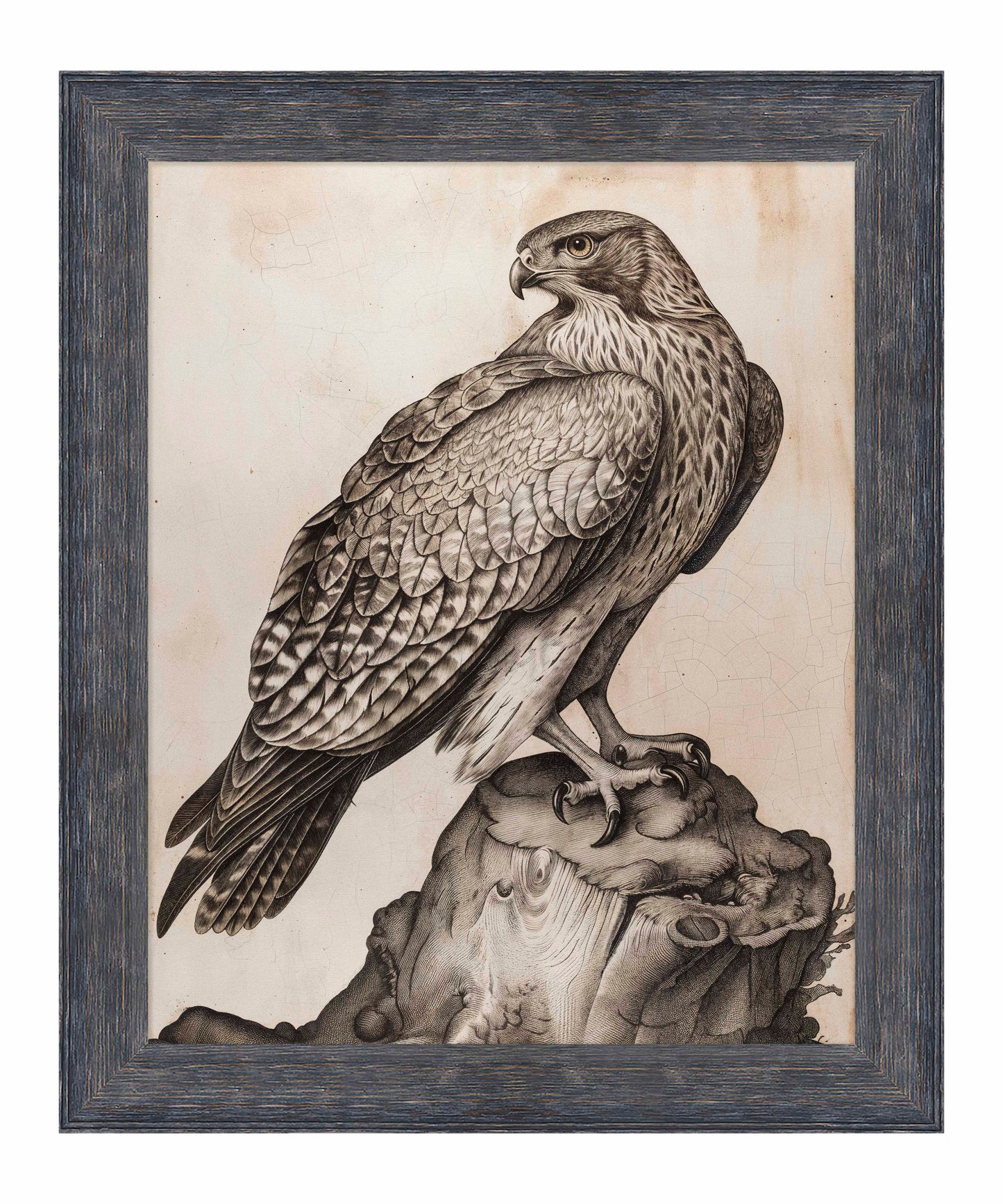 Majestic Sentinel - Hawk - Limited Edition Canvas