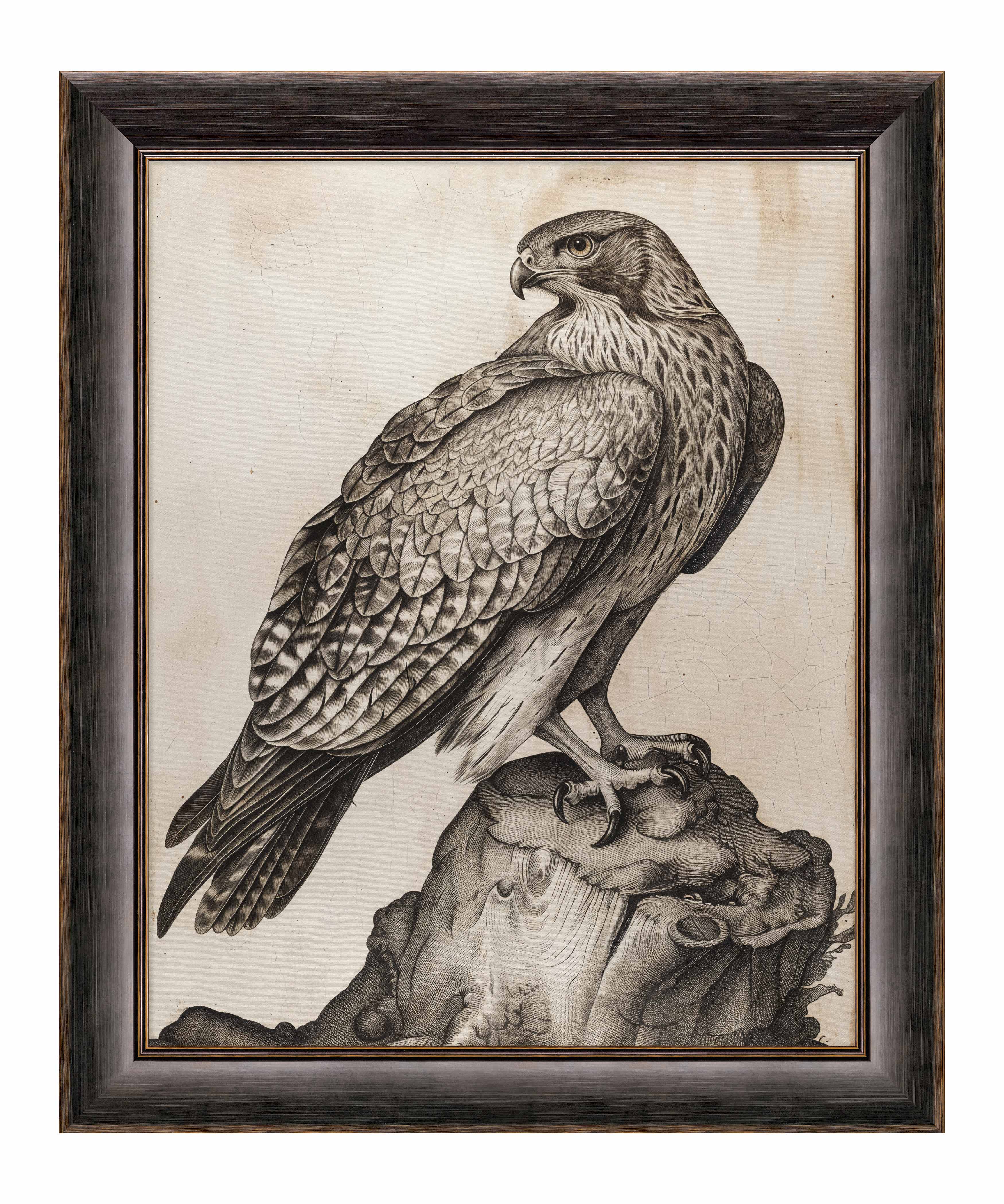 年代物 6.7kgの鷹さん(鷲さん)antique hawk or eagle 年代物 6.7kgの鷹