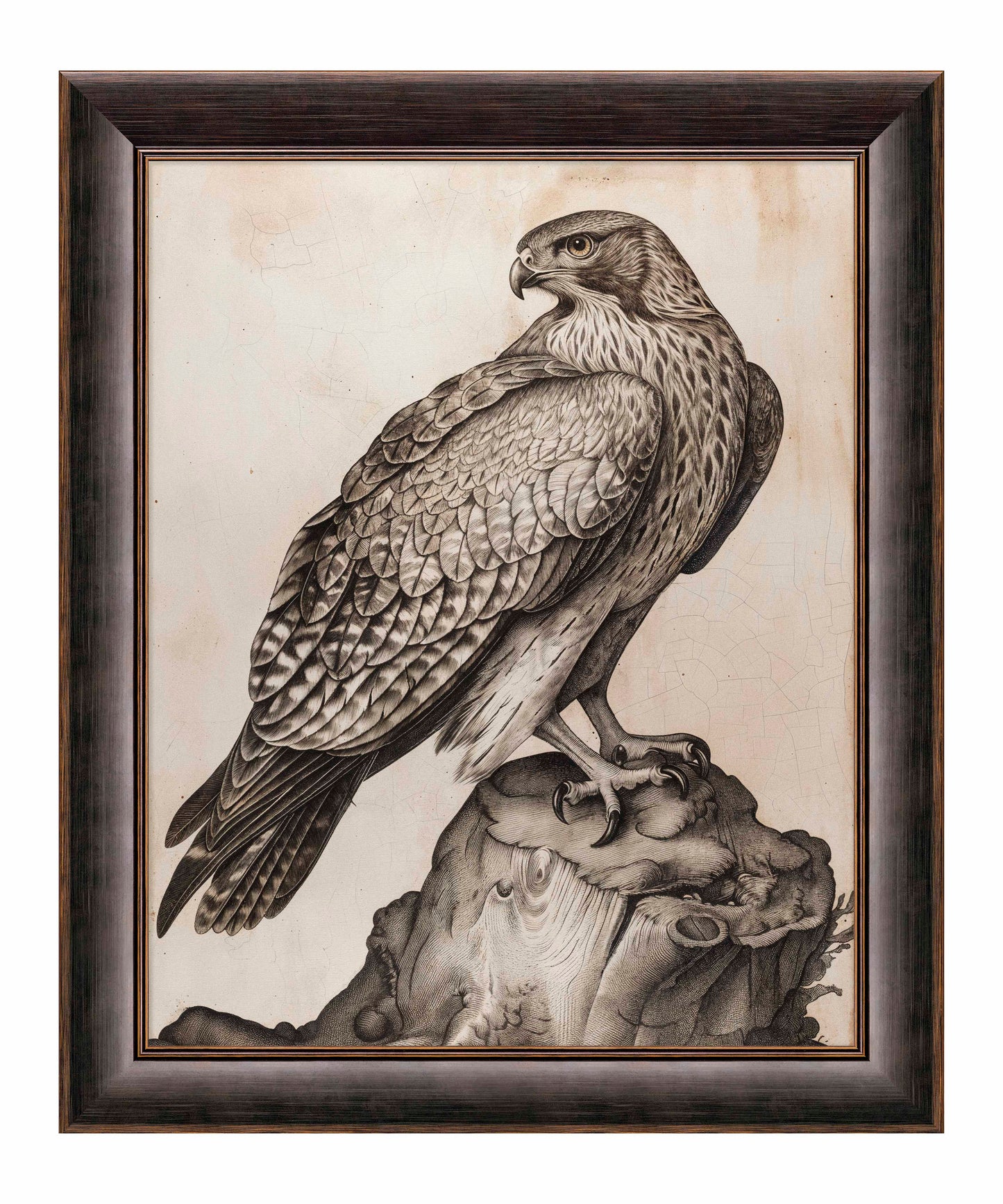 Majestic Sentinel - Hawk - Limited Edition Canvas