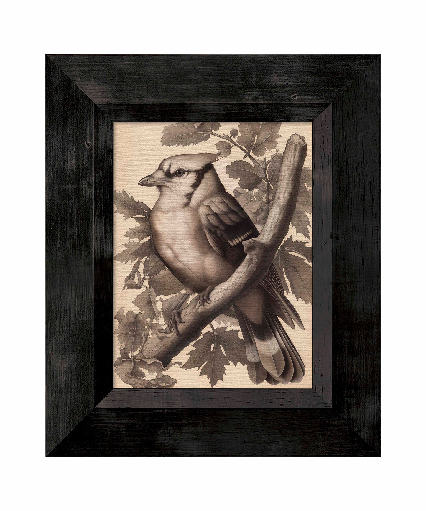 Timeless Grace - Blue Jay in Oak Canopy - Limited Edition Canvas