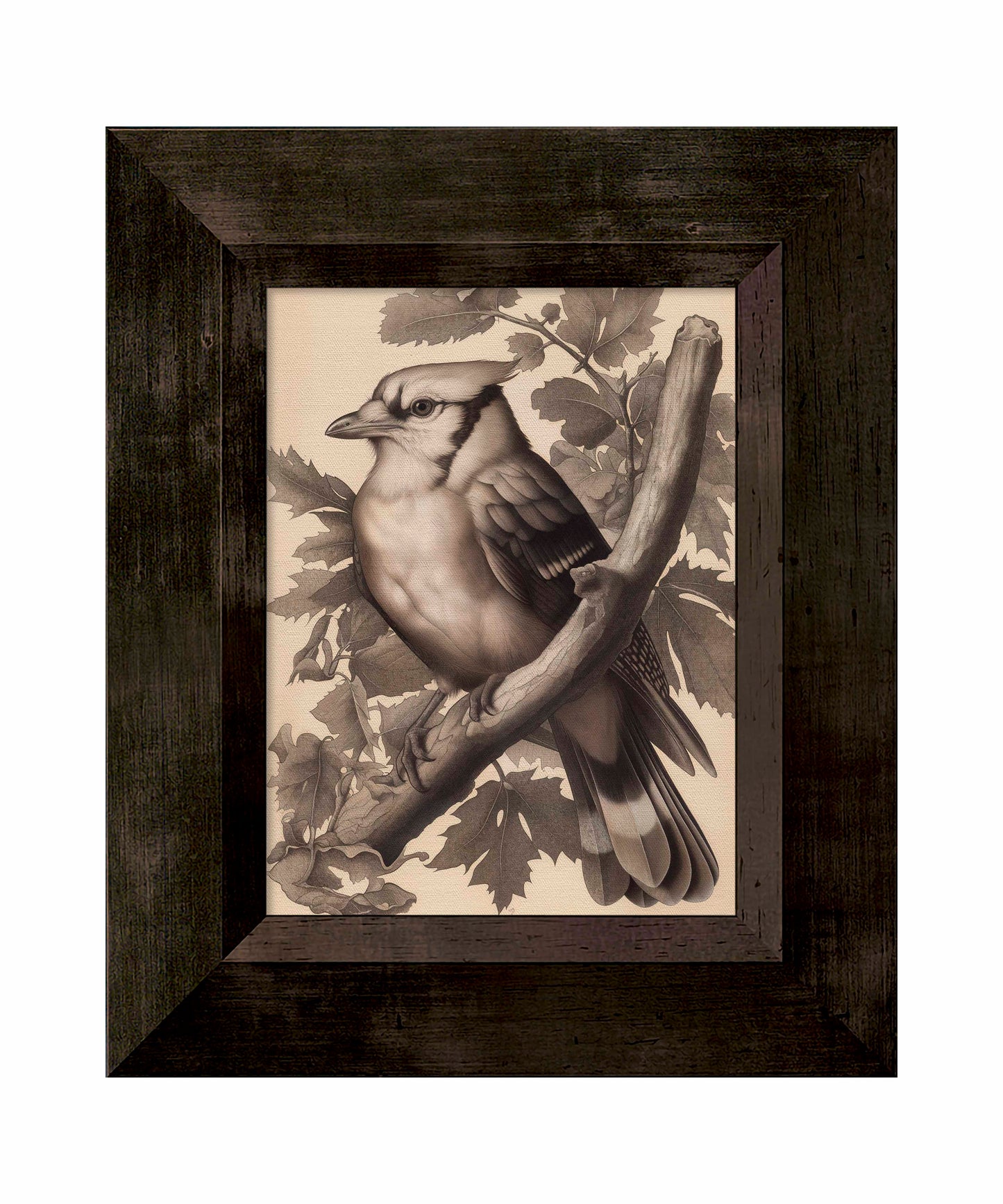 Timeless Grace - Blue Jay in Oak Canopy - Limited Edition Canvas