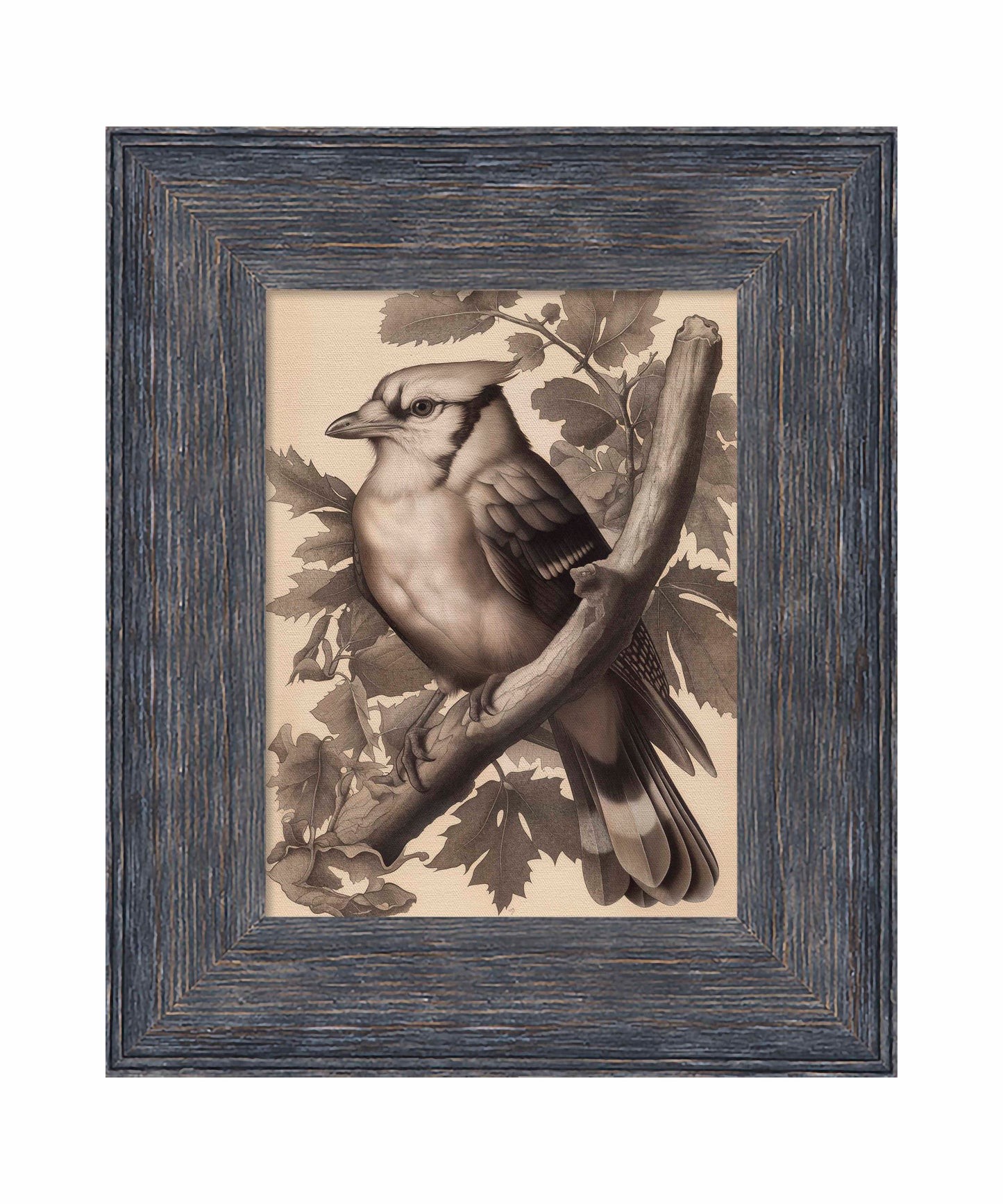 Timeless Grace - Blue Jay in Oak Canopy - Limited Edition Canvas