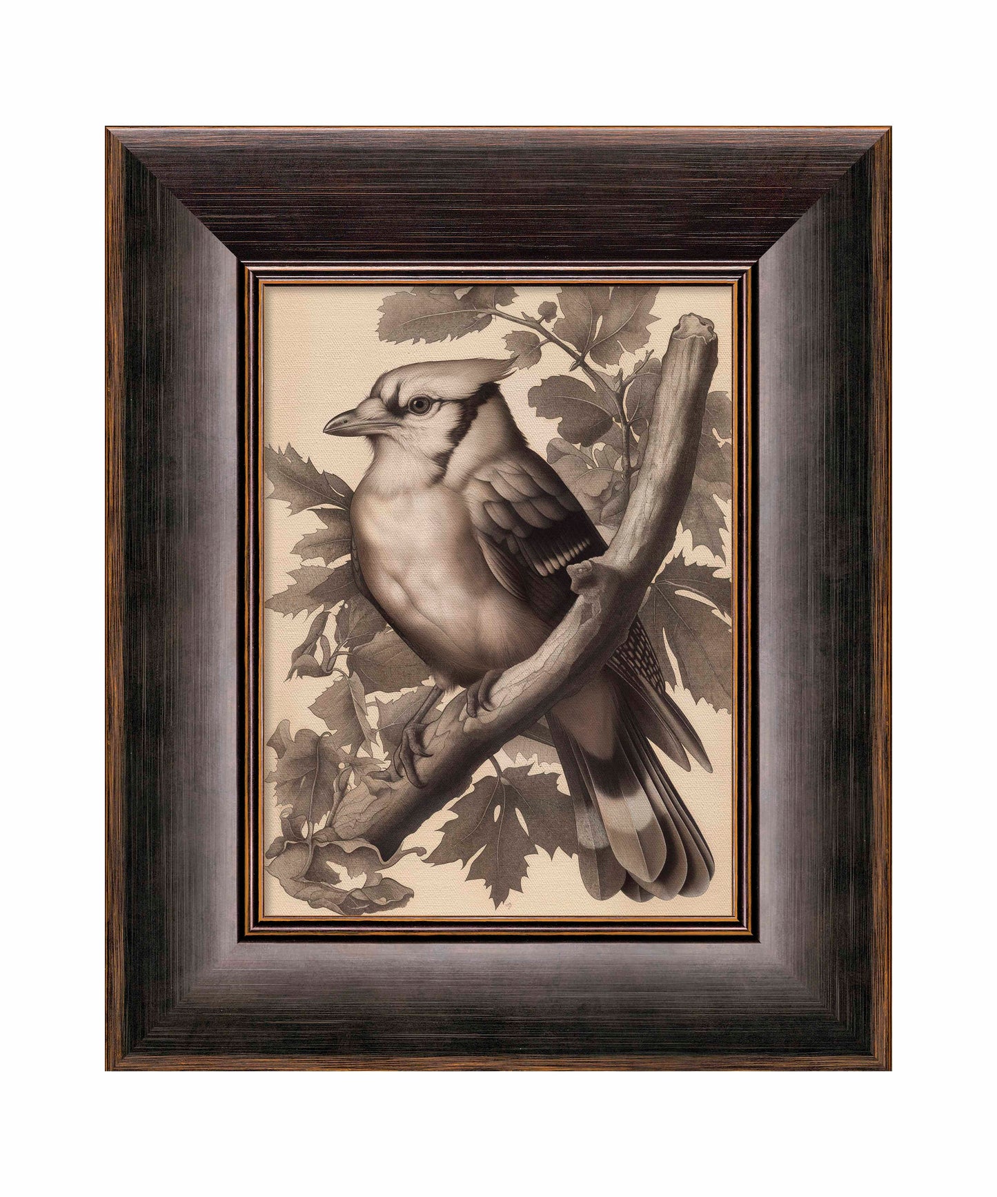 Timeless Grace - Blue Jay in Oak Canopy - Limited Edition Canvas