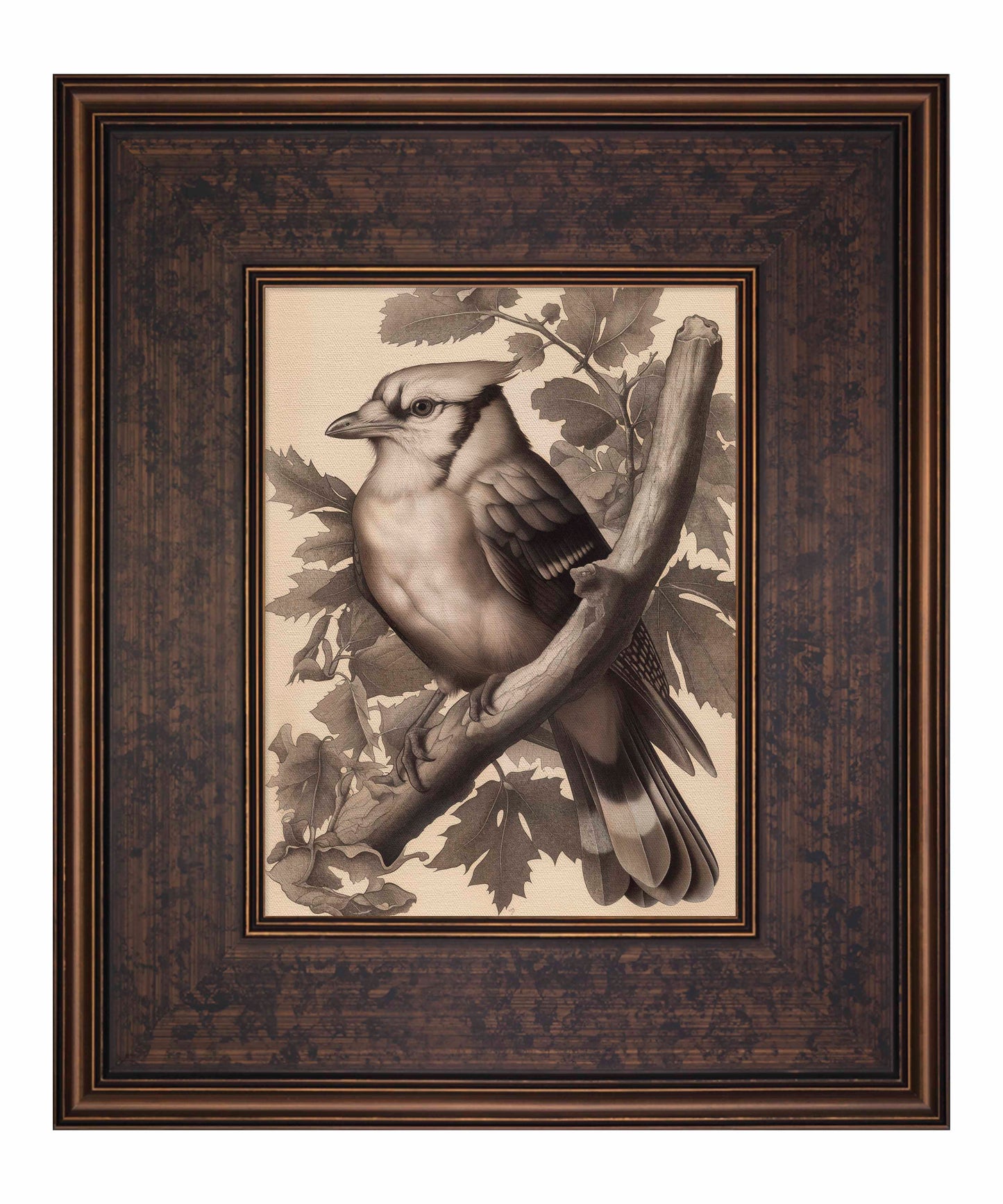 Timeless Grace - Blue Jay in Oak Canopy - Limited Edition Canvas